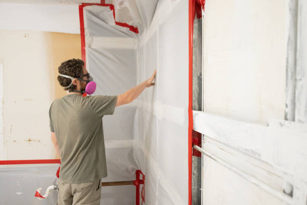 Best Industrial Mold Remediation  in New Baltimore, MI