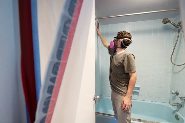 Best Airborne Mold Testing  in New Baltimore, MI