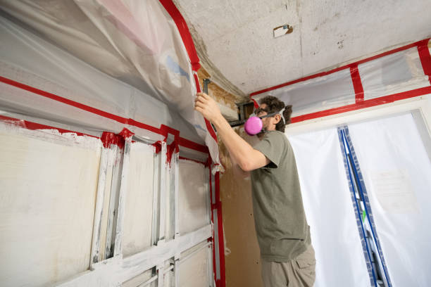 Best Mold Remediation for Healthcare Facilities  in New Baltimore, MI