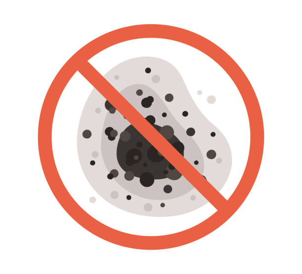Best Mold Prevention Services  in New Baltimore, MI