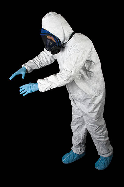 Best Water Damage & Mold Remediation  in New Baltimore, MI