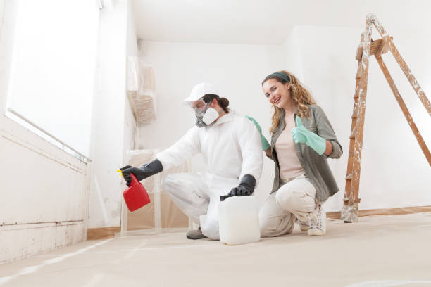 Trusted New Baltimore, MI Mold Removal Experts
