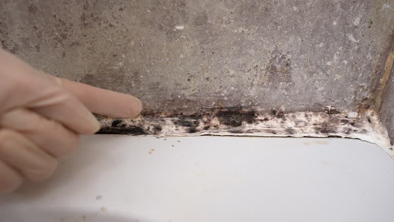 Best Post-Remediation Verification Testing  in New Baltimore, MI