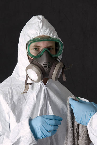 Best Water Damage & Mold Remediation  in New Baltimore, MI